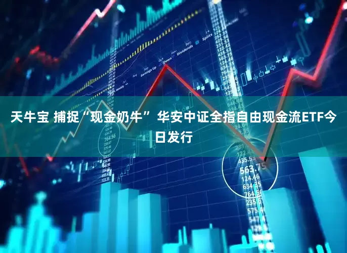 天牛宝 捕捉“现金奶牛” 华安中证全指自由现金流ETF今日发行