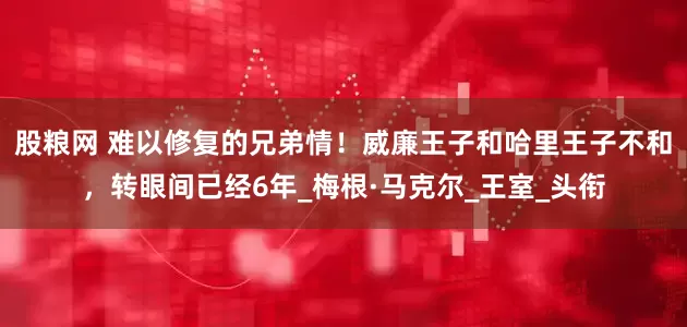 股粮网 难以修复的兄弟情！威廉王子和哈里王子不和，转眼间已经6年_梅根·马克尔_王室_头衔