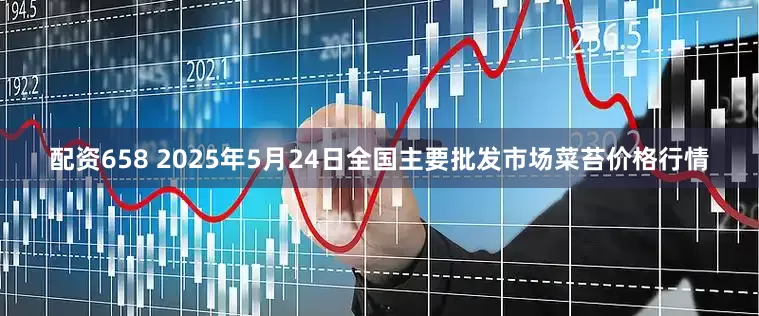 配资658 2025年5月24日全国主要批发市场菜苔价格行情