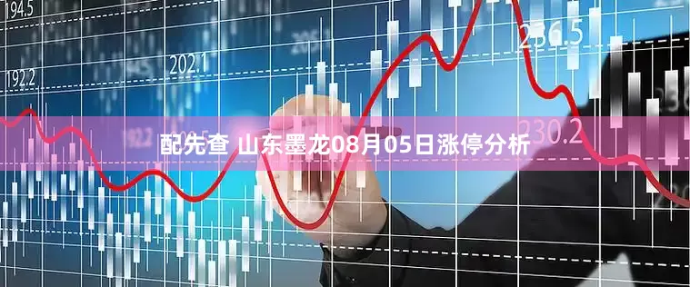 配先查 山东墨龙08月05日涨停分析