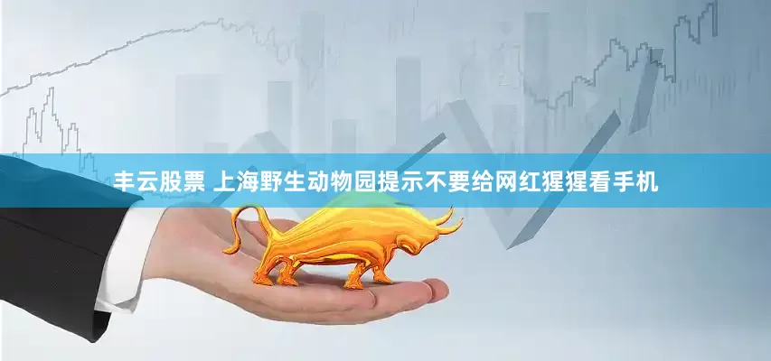 丰云股票 上海野生动物园提示不要给网红猩猩看手机